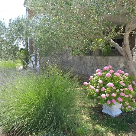 Milena Maderic Apartament *